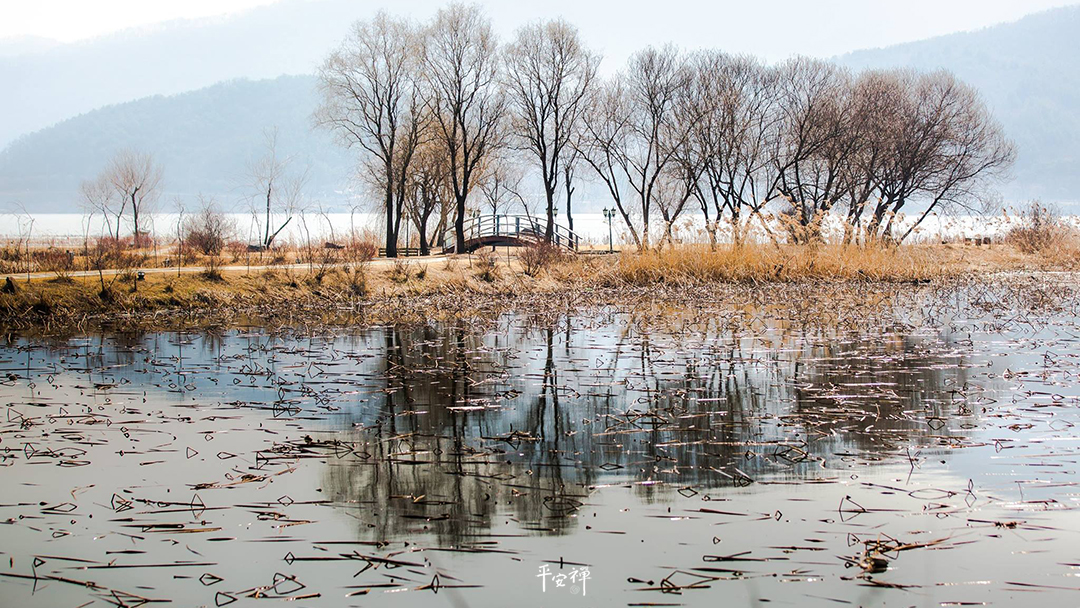  平安禪,靜坐,冥想,禪修,四步驟,覺知,坐禪,與法師有約,五戒,心道法師