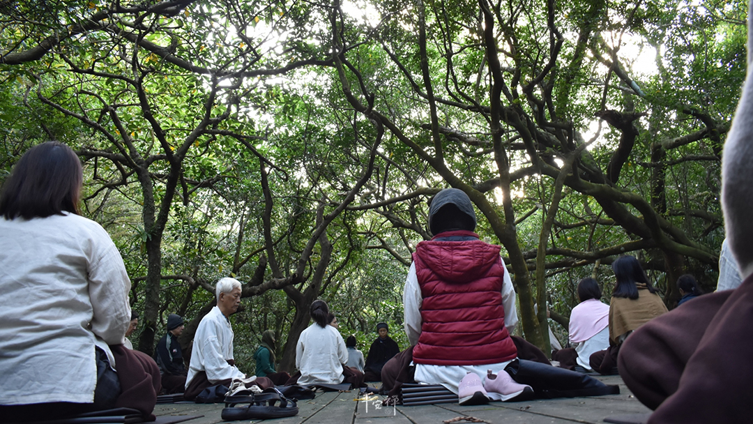 平安禪,靜坐,冥想,禪修,四步驟,覺知,坐禪,心道法師,森林大禪堂