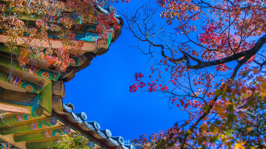平安禪,靜坐,冥想,禪修,四步驟,覺知,坐禪,樂活禪,斷食禪,心道法師,護關,法工,