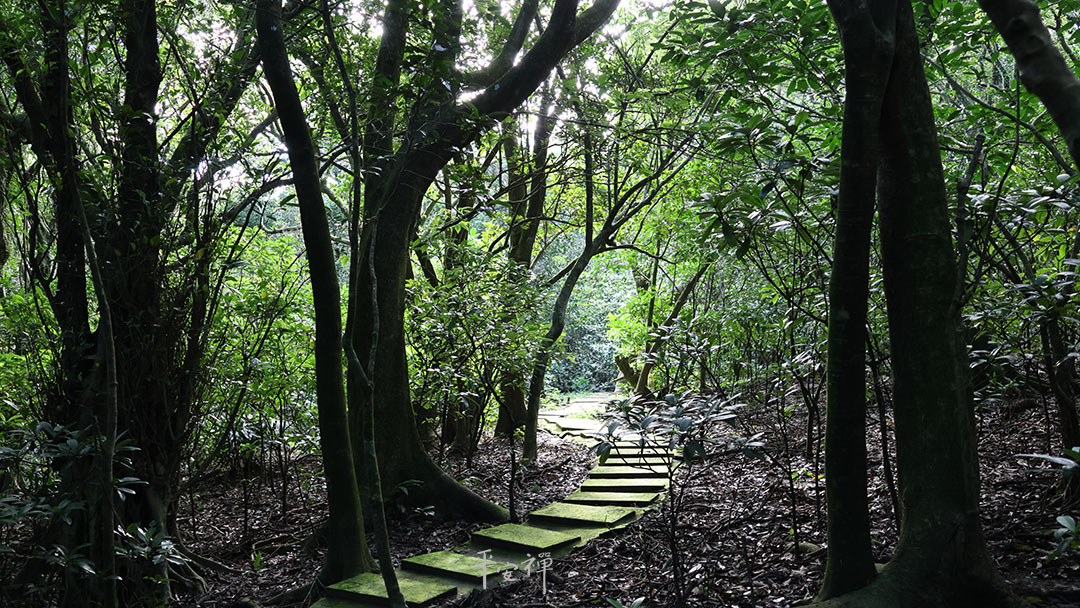 平安禪,靜坐,冥想,禪修,四步驟,覺知,坐禪,護關,法工,心道法師,樂活禪,斷食禪,禪友會,讀書會