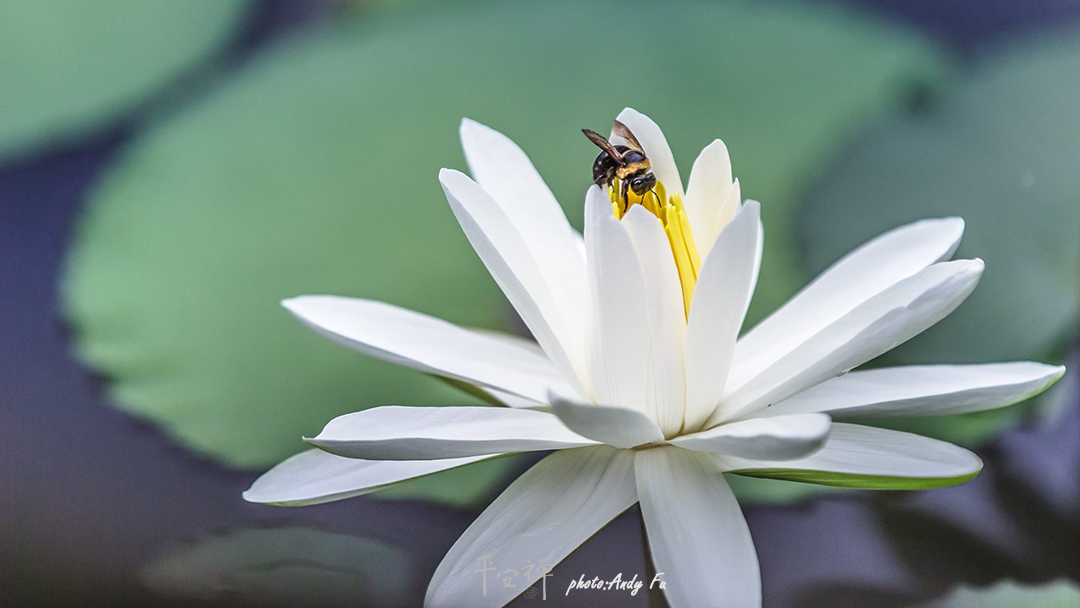 平安禪,靜坐,冥想,禪修,四步驟,覺知,坐禪,護關,法工,心道法師,樂活禪,斷食禪,禪友會,讀書會