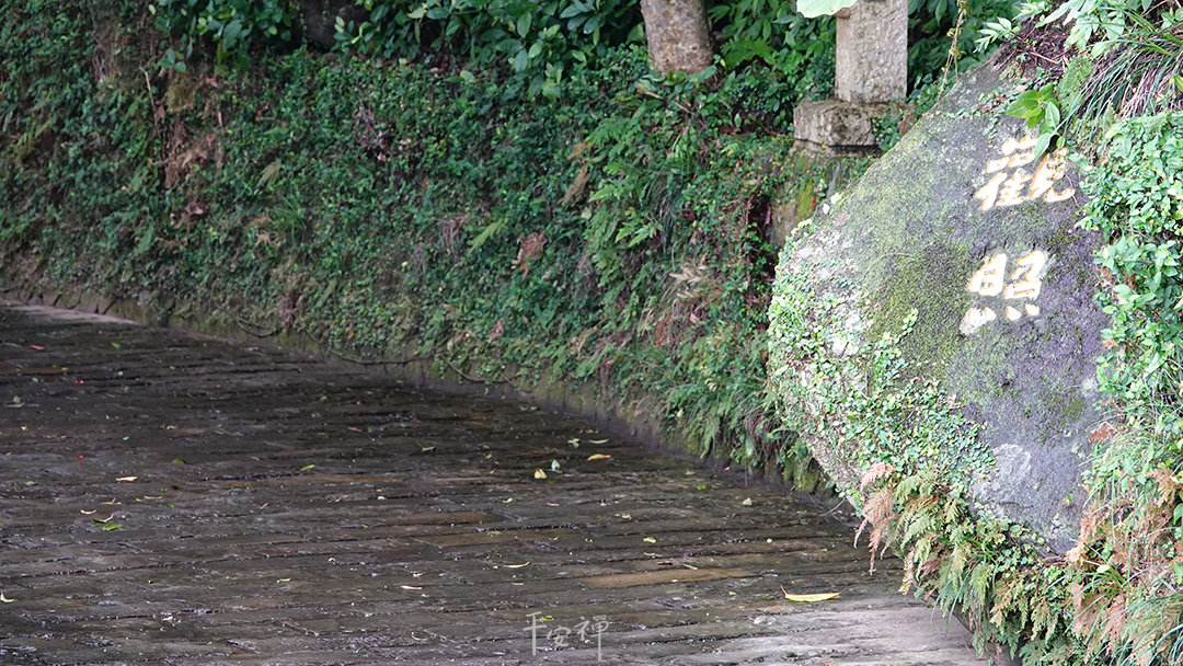 平安禪,靜坐,冥想,禪修,四步驟,覺知,坐禪,護關,法工,心道法師,樂活禪,斷食禪,禪友會,讀書會