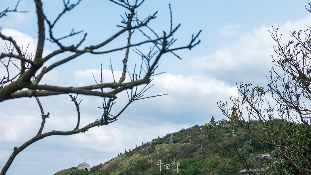 平安禪,靜坐,冥想,禪修,四步驟,覺知,坐禪,護關,法工,心道法師,樂活禪,斷食禪,禪友會,讀書會