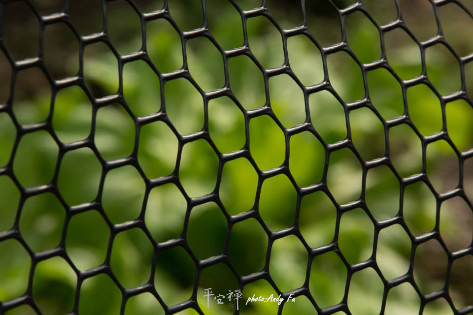 平安禪,靜坐,冥想,禪修,四步驟,覺知,坐禪,護關,法工,心道法師,樂活禪,斷食禪,禪友會,讀書會