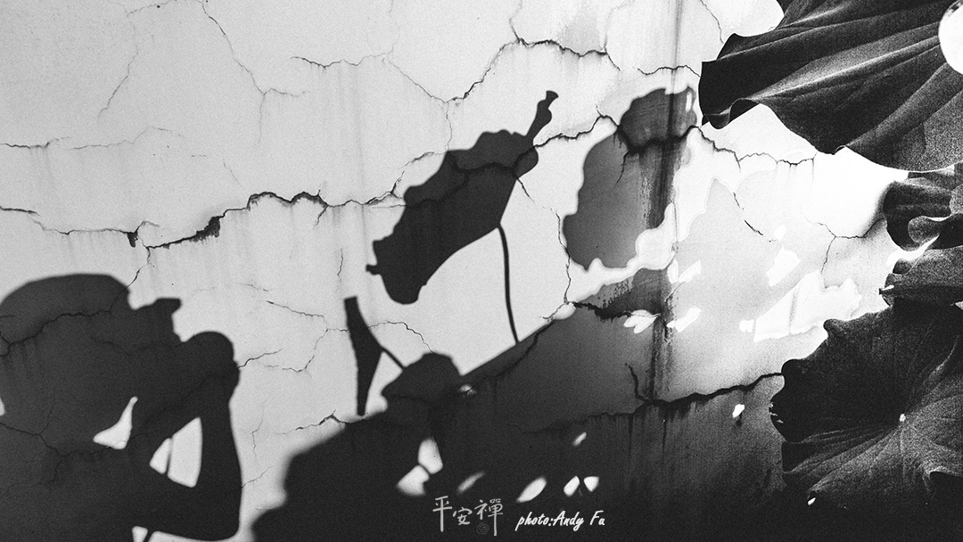 平安禪,靜坐,冥想,禪修,四步驟,覺知,坐禪,護關,法工,心道法師,樂活禪,斷食禪,禪友會,讀書會