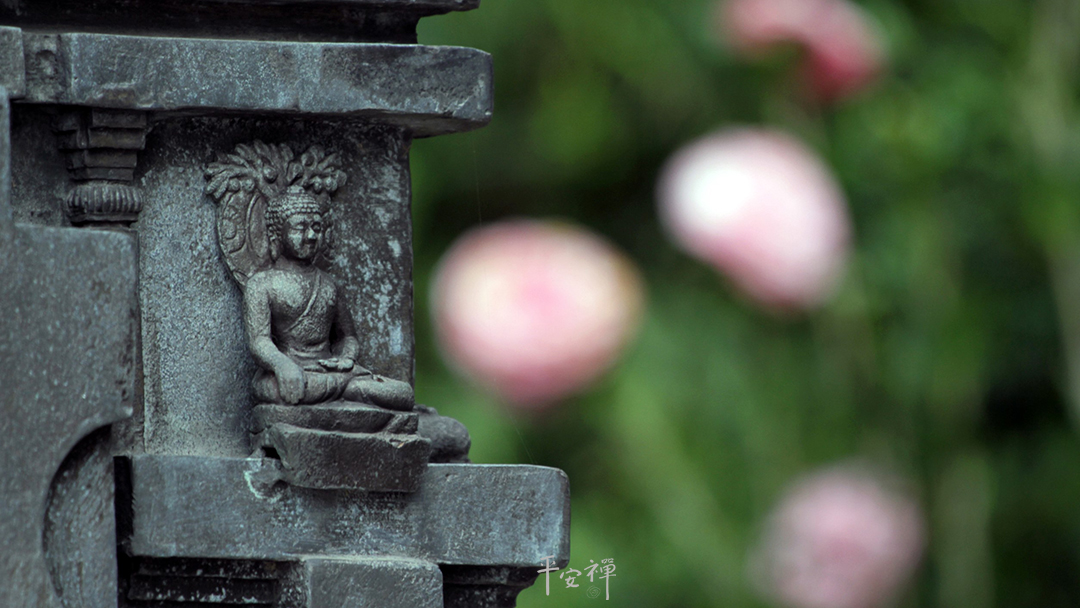 平安禪,靜坐,冥想,禪修,四步驟,覺知,坐禪,護關,法工,心道法師,樂活禪,斷食禪,禪友會,讀書會