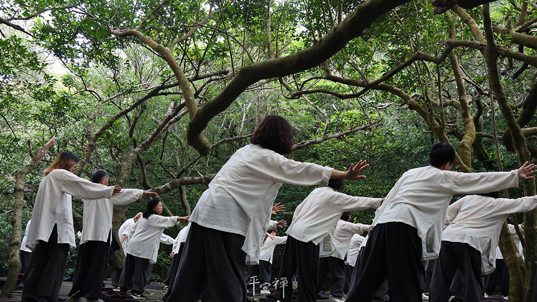 平安禪,靜坐,冥想,禪修,四步驟,覺知,坐禪,護關,法工,心道法師,樂活禪,斷食禪,禪友會,讀書會