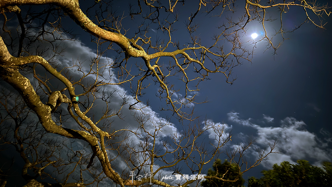 平安禪,靜坐,冥想,禪修,四步驟,覺知,坐禪,護關,法工,心道法師,樂活禪,斷食禪,禪友會,讀書會