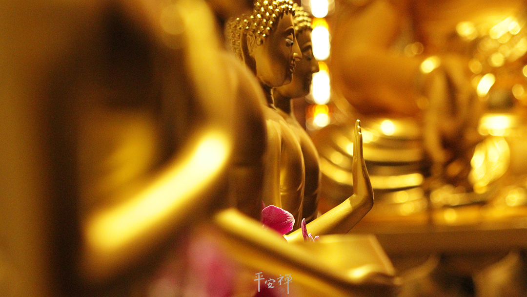 平安禪,靜坐,冥想,禪修,四步驟,覺知,坐禪,護關,法工,心道法師,樂活禪,斷食禪,禪友會,讀書會