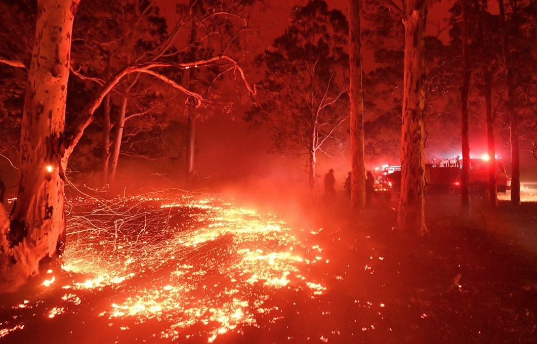 氣候乾燥,森林野火,澳洲,地球,生態環境,碳排放,平安禪,禪修,氣候變遷,宗教